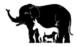 Chỉ thiên tài mới thấy 15 con vật ẩn giấu trong tranh