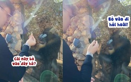 Chú khỉ nổi quạu với du khách đùa nhây