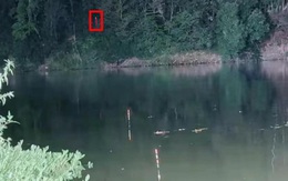 Ảnh vui 27-10: Nửa đêm đi câu cá nhìn thấy, xin hỏi đây là gì?