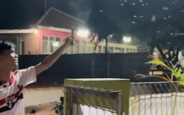 Cách giải quyết côn trùng bay vào nhà vô cùng đơn giản