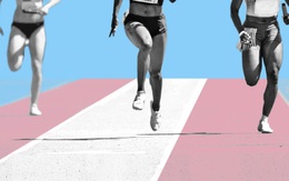 Chim sợ cành cong