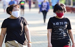 Ăn không nhiều, sao vẫn mập?