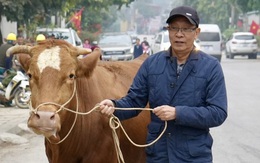 Con bò tên Lại Văn Sâm và những câu chuyện lần đầu ở Có hẹn cùng thanh xuân