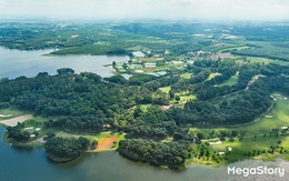 Hồi sinh từ vùng đất tiêu, điều cằn cỗi