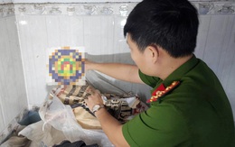 Phát hiện cơ sở dùng hóa chất kích thích tăng trưởng sản xuất giá đỗ