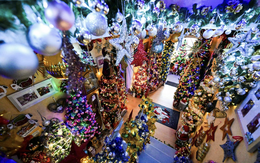 Kỷ lục trang trí nhà bằng 555 cây thông Giáng sinh