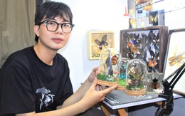 'Rác trong khung kính', thú chơi tiêu bản kiếm tiền triệu