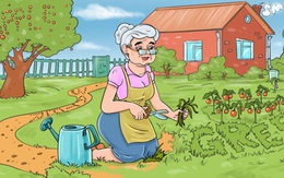 Tìm 4 từ ẩn giấu trong tranh làm vườn