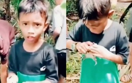 Cậu bé ham chụp ảnh hú hồn khi bị cua kẹp