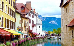 Tour hè nước Pháp: Nét đẹp mùa hoa oải hương