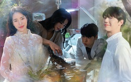 Những bộ phim gây sốt của 'ác nữ' Lim Ji Yeon và 'đao phủ' Lee Do Hyun