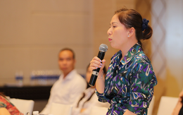 Giá vé máy bay cao khiến du lịch Việt khó cạnh tranh?