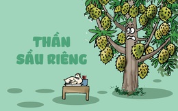 Nông dân vái 'thần' sầu riêng