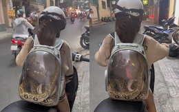 Ảnh vui 12-5: Nuôi bạn này nhàn, không rụng lông, lại 'quấn chủ'