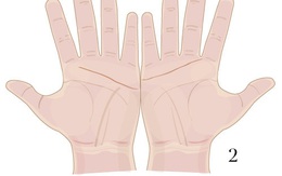 Đường chỉ tay tiết lộ gì về tình duyên và hôn nhân của bạn?