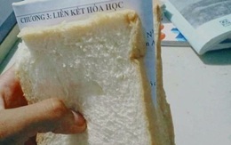 Muôn kiểu ôn bài muốn 'truyền thái y' của dàn học sinh bá đạo