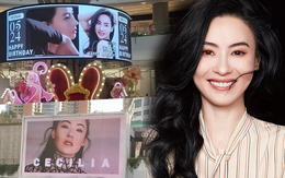 Trương Bá Chi được fan chi gần 5 tỉ để mừng sinh nhật