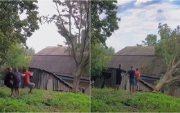 3 anh Tây cưa cây đổ đè mái nhà