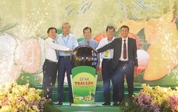 Chào đón nhà đầu tư đến phát triển nông nghiệp Ninh Sơn