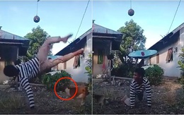 Chú chó gặp 'tai bay vạ gió' khi cậu chủ đá cầu mây