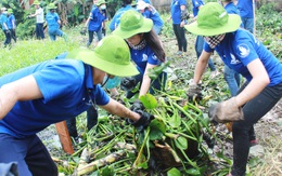 Nguyên tắc cũng cần linh hoạt