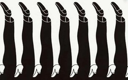 Ảo ảnh tiết lộ bạn có tinh tế trong giao tiếp?