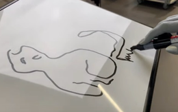 Nữ người máy 'bật lại' nhà nghiên cứu khi bị chê vẽ mèo xấu