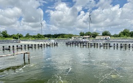 Kiến nghị đưa giá thức ăn, thuốc trị tôm vào lĩnh vực kinh doanh có điều kiện