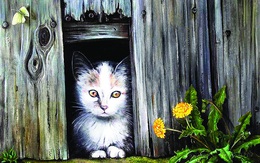 Truyện ngắn: Dấu phẩy