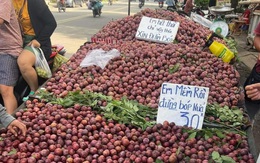 Ảnh vui 14-7: Chọn em, đừng nắn bóp em!