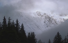 Hơn 20.000 người mất tích ở 'Tam giác Alaska', chuyện gì xảy ra?