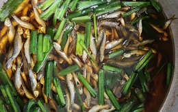 Hai loại cá linh non ra chợ, giá từ 250.000 - 300.000 đồng/kg