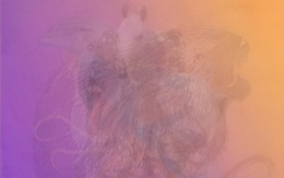 Chỉ mắt thần mới thấy 6 con vật trong tranh