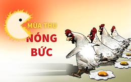 Đừng dọa nhé, hỡi mùa thu nóng bức...