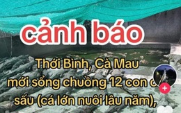 Bị phạt 7,5 triệu do đăng tin giả '12 con cá sấu sổng chuồng ở Cà Mau'