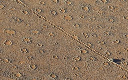 Bí ẩn 'vòng tròn cổ tích' tại hàng trăm địa điểm trên thế giới