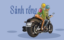 Biển số đẹp năm Giáp Thìn