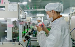 Tin tức sáng 30-1: TP.HCM lắp WiFi trên xe buýt; Giá cà phê lên cao vì căng thẳng ở Biển Đỏ