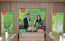 Mang bàn chải cũ đến Bách hóa xanh để mua mới với giá ưu đãi