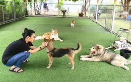 Ở nơi cún cưng được chữa lành và dạy dỗ