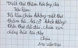 'Cười chảy nước mắt' với những bài văn bá đạo của học trò