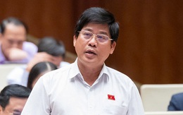 Vụ trúng thầu mỏ cát 370 tỉ ở Quảng Nam, đại biểu khẳng định: 'Nguy cơ bỏ cọc là chắc chắn'