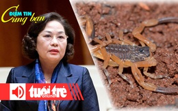 Điểm tin cùng bạn 8h: Lãi suất vay khó giảm; Brazil bùng phát bọ cạp, lo thiếu thuốc giải độc