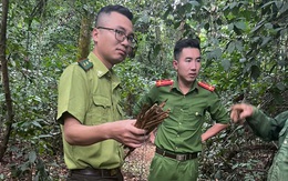 Kiểm lâm thu nhiều bẫy chim di cư giữa rừng đặc dụng