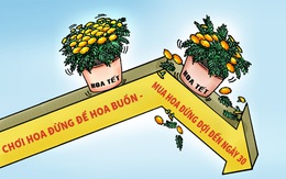 'Cuộc chiến' giá hoa Tết chưa bao giờ bớt căng thẳng