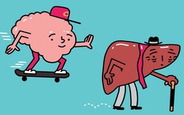 Đo tuổi cơ quan cơ thể: Gan bao nhiêu tuổi, não mấy niên rồi?