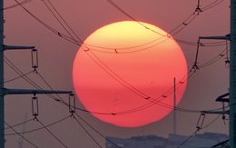 Ngắm hoàng hôn ở TP.HCM: Mặt trời như lòng đỏ trứng nhuộm cam cả một khoảng trời