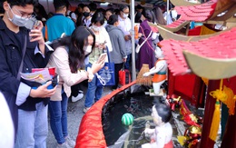 Học sinh thích thú xem robot, gặp thầy cô nước ngoài tại ngày hội tư vấn tuyển sinh