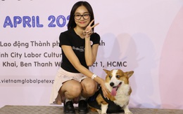 Corgi mũm mĩm thi marathon, nhiều chú quên cả chạy