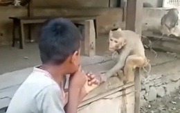 Bé trai bị 'Tôn Ngộ Không' cho ăn đạp khi ra oai múa võ